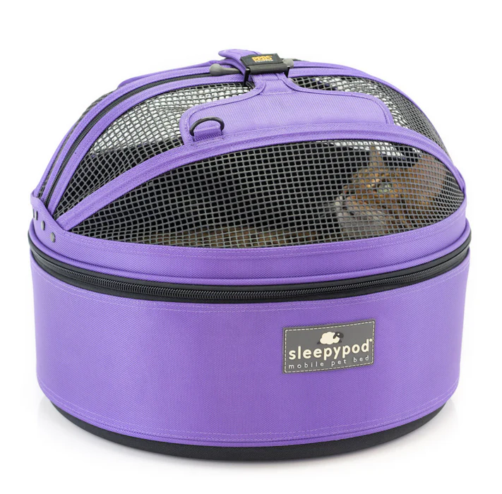Purple Sleepypod mobile pet bed carrier with a mesh top; a small cat peeks through the mesh from inside.