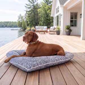 Brown dog lounging on a patterned bed on a wooden lakeside dock with a house in the background.