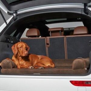 Brown dog resting on a padded mat in the open trunk of a white SUV.