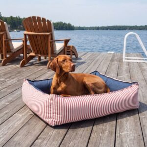Brown dog lounging in a striped red-and-white bed on a wooden lakeside dock, with two wooden chairs nearby and a ladder at the water's edge.