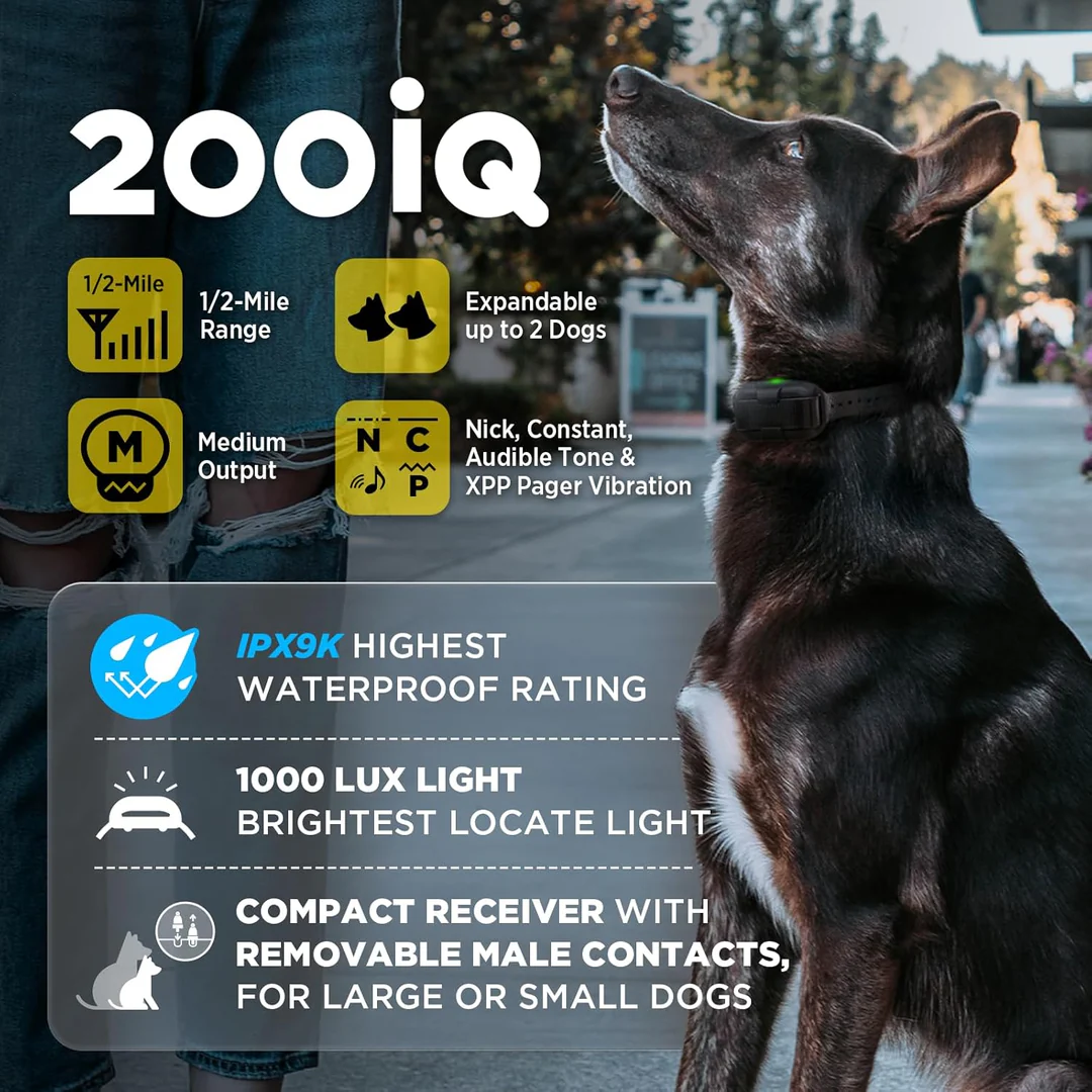 Dogtra 202iQ 2-Dog Training Collar – 1/2 Mile Range - Image 5