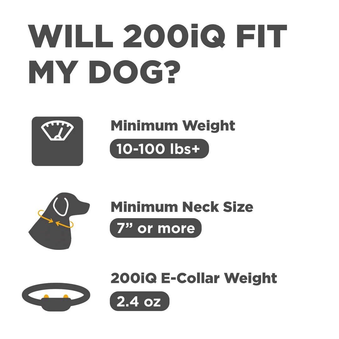Dogtra 202iQ 2-Dog Training Collar – 1/2 Mile Range - Image 2